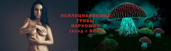 гидра Вязники
