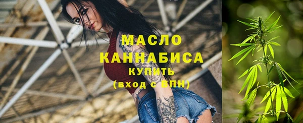 гидра Вязники