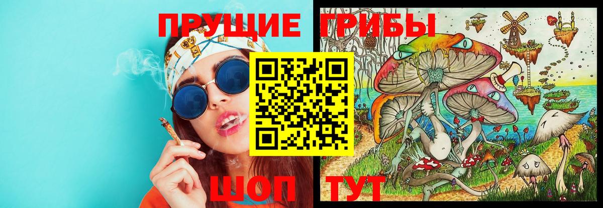 Псилоцибиновые грибы мицелий  Вход с VPN  Железногорск  Галлюциногенные грибы Psilocybine cubensis 