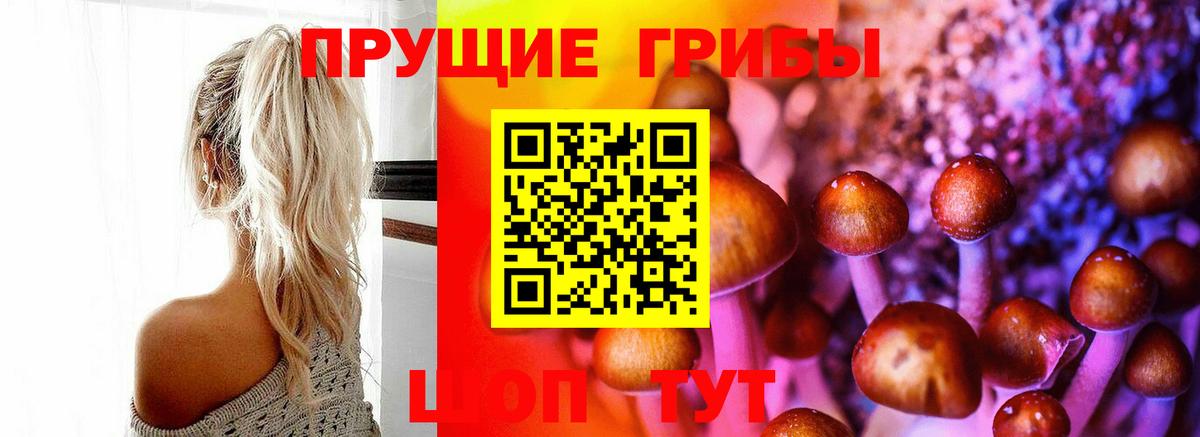 Псилоцибиновые грибы MAGIC MUSHROOMS Железногорск